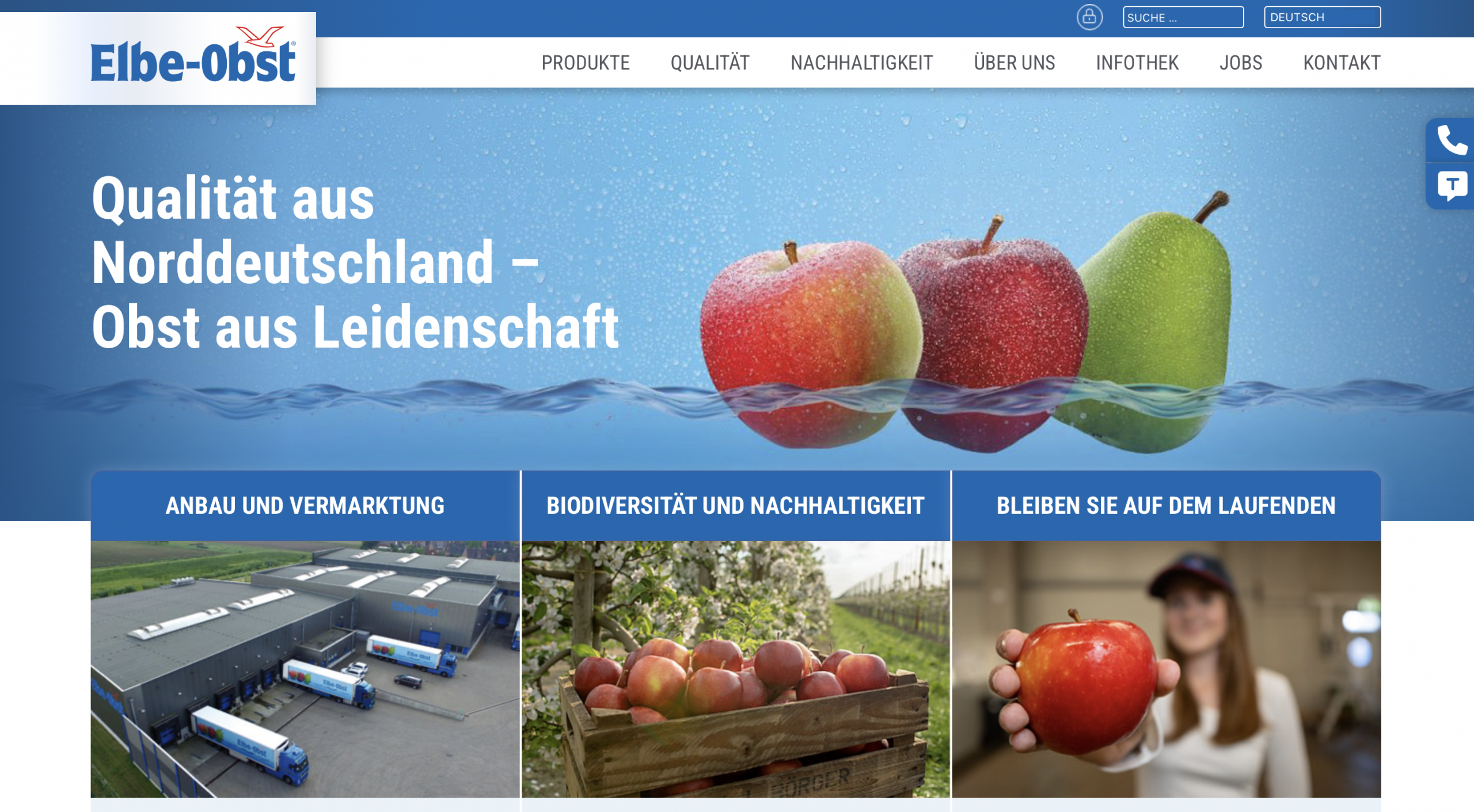 Website Elbe-Obst